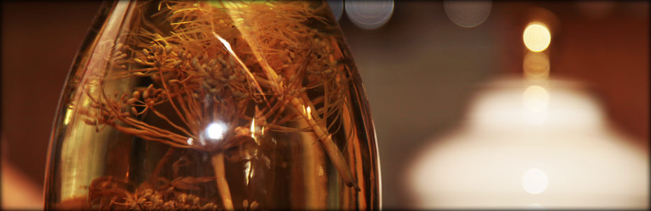 im Vogtland recht herzlich willkommen